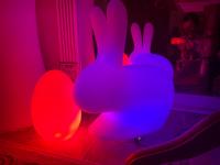 Стул Rabbit little