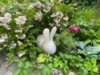 Стул Rabbit little